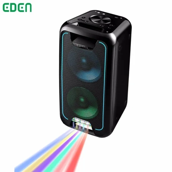 Professional Audio Wireless Bluetooth Portable DJ Karaoke Party Speaker ED-502