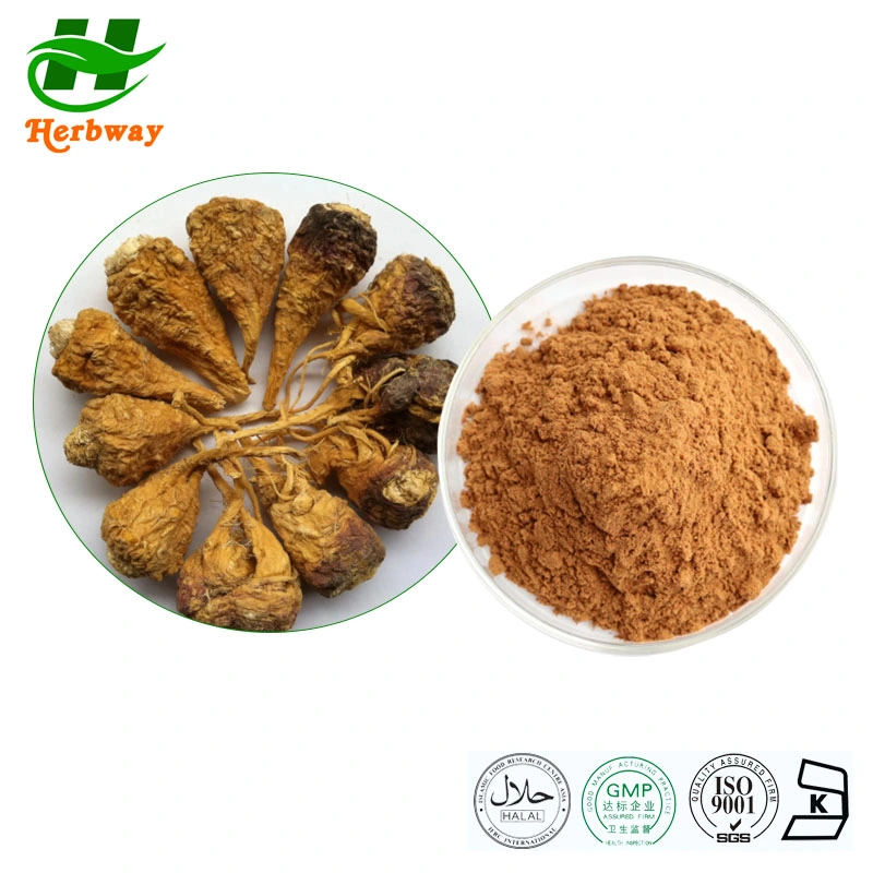 Herbway Factory More Than 10 Years Plant Experiences Directly Supply 100%Natural Maca Extract 4: 1 Powder Maca Root Extract for Men&prime; S Health Prodcuts