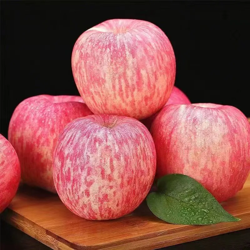 Yantai Origin New Crop FUJI Apple Food Grade