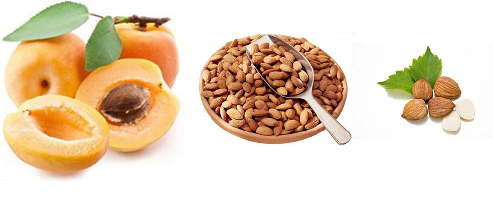 المر Apricot بذرة بذور اللوز مستخرج 98 ٪ مسحوق Amygdalin