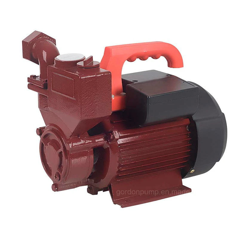 Wzb 100% Copper Surface Self Priming Vortex Household Pressure Water Pump