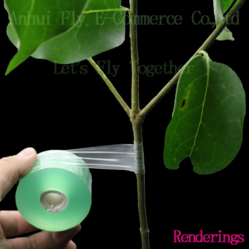 Grafted Membrane Adsorption Film Tools Vine Fruit Garden Plants Thermostat Fixed-Film Plastic Film Environmentally Degradable