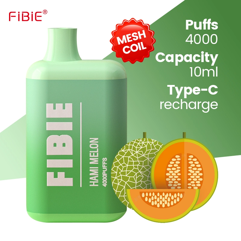 Original Factory Wholesale/Supplier Price Fibie 4000 Puffs Bar Electronic Cigarette 15 Flavors Disposable/Chargeable Vape Pen