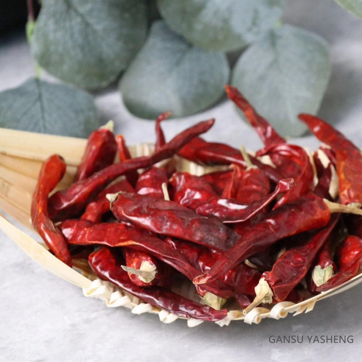 Natürliche Qualität Red Chili Pepper zum Verkauf