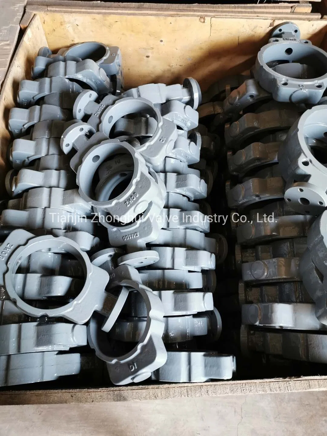 Semi Lugged Butterfly Valve Cast Iron Body Pn10 Pn 16
