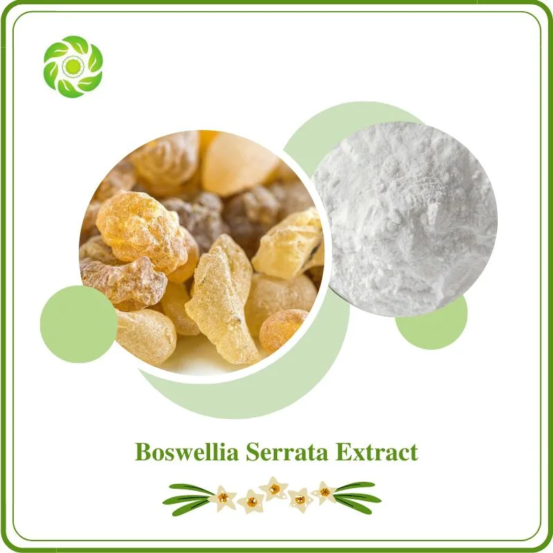 World Well-Being Biotech Bible Frankincense, Frankincense, Incense, Frankincense Tree, Olibanum Tree 60%-90% Boswellic Acids Boswellia Serrata Extract