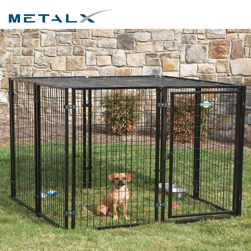 Small Steel Dog Kennel with Galvanized Steel Fence Outside Heavy Duty 5 Glass Door