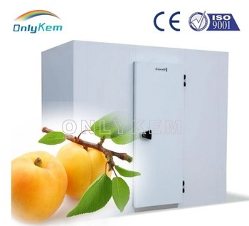 Commercial Refrigeration and Freezing Cooler Freezer Cold Room