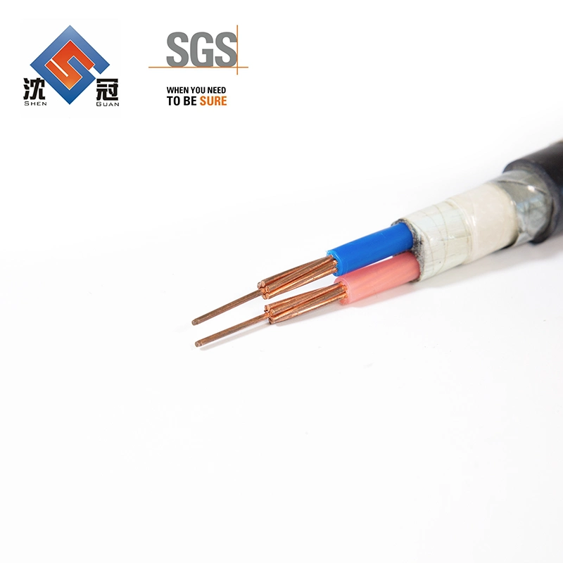 Shenguan Aluminum Electric Cable Supplier XLPE Insulated Power Cable Tinned Wire ABC Cable Red Copper Wire Electrical Wire Underground