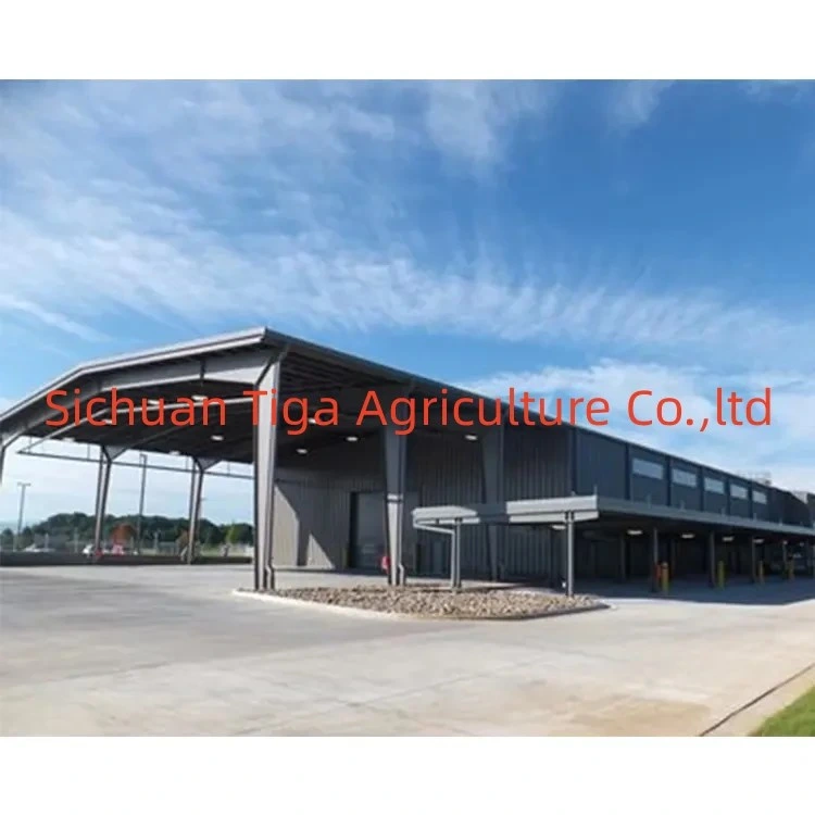 Customized Prefabricated Steel Structure Building Low Cost Office Factory Workshop Warehouse Steel Building