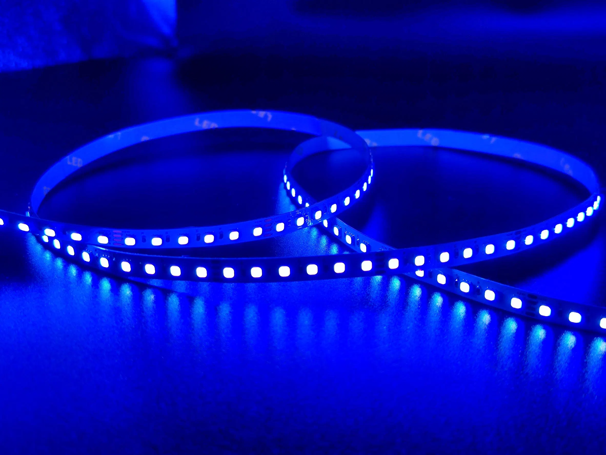 5050 60LED/M Blue High Brightness Flexible LED Strip Christmas Light Rope Light