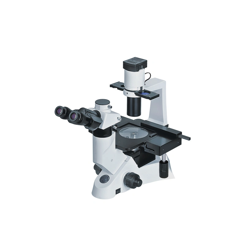 Biobase China Fluorescence Biological Microscope