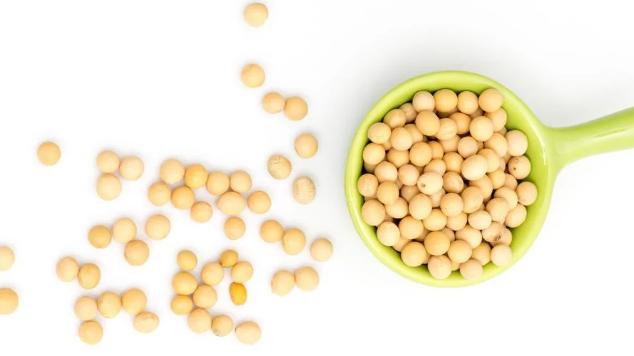 China Edible Food Grade Modified Soybean Phospholipid Modified Soybean Lecithin