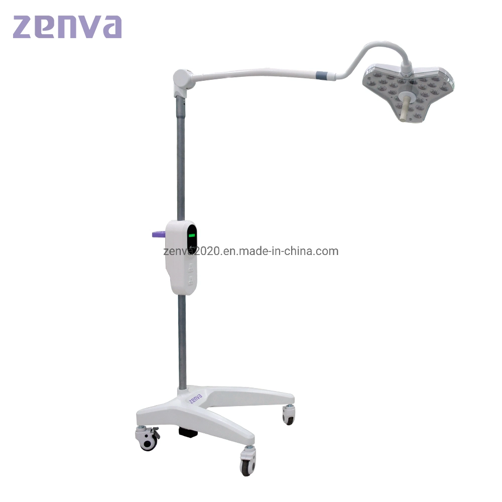 Veterinary Examination Instrument Surgical LED Light with Wheels