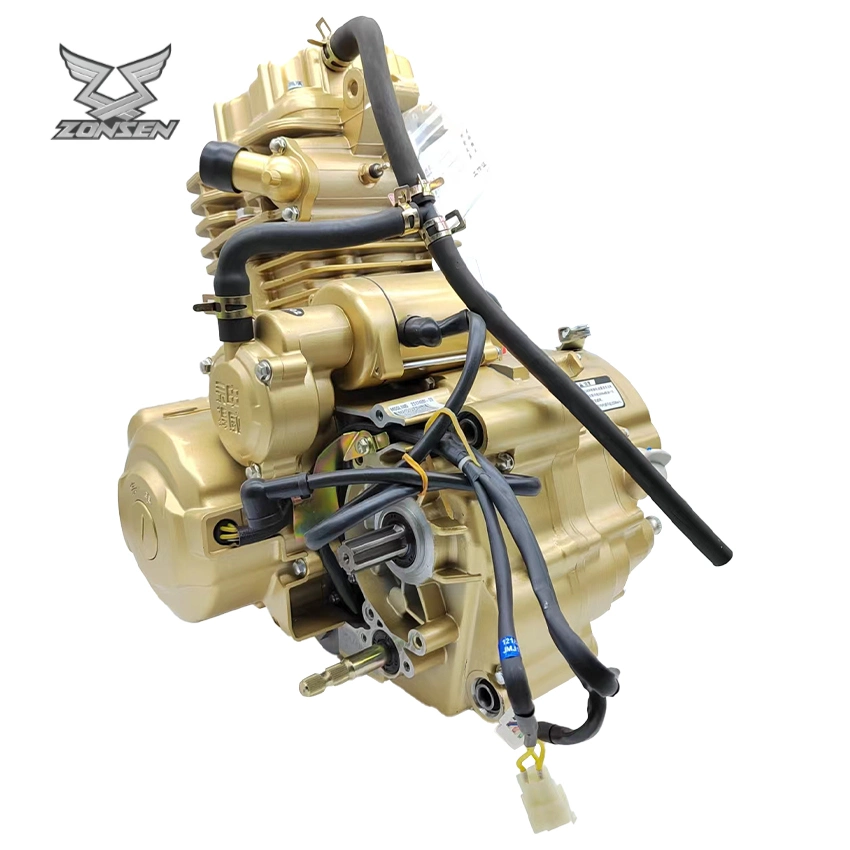 OEM Zongshen Moto Engine 300cc Water-Cooling Suitable High Displacement Motorcycle Load Tricycle