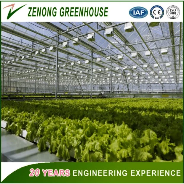 Multifunctional PC Plate Covered Greenhouse Easy Install for Vegetable/Fruit/Planting/Farm/Livestock Breeding/Restaurant