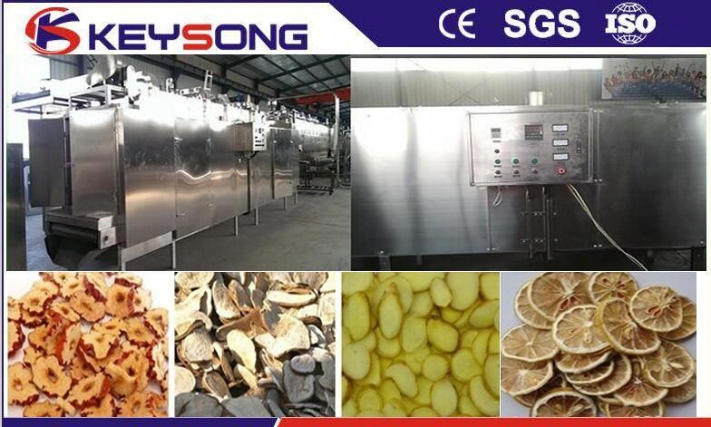 Vegetable Fruit Mango Grape Mesh Belt Baking Drying Machine