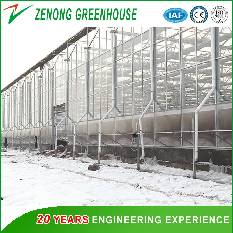 Glass Greenhouse for Exhibition/Seed Breeding/Ecological Restaurant/ Scientific Research