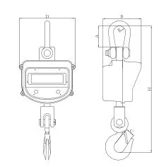 Safe Rotated Hook Unibody Crane Scale