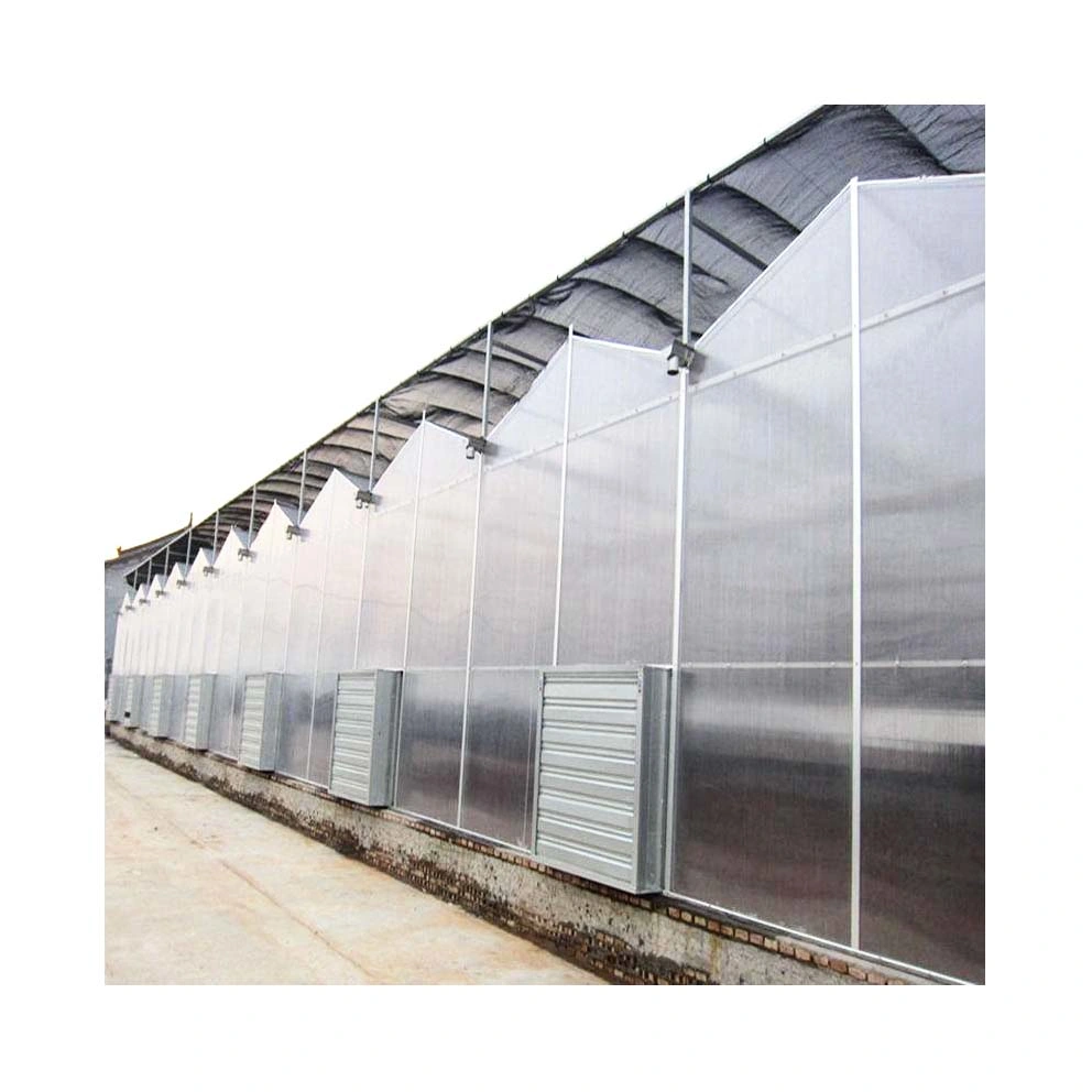 Heating System PC Plate Multispan House Shed Board Venlo Type Polycarbonate Sheet Greenhouse