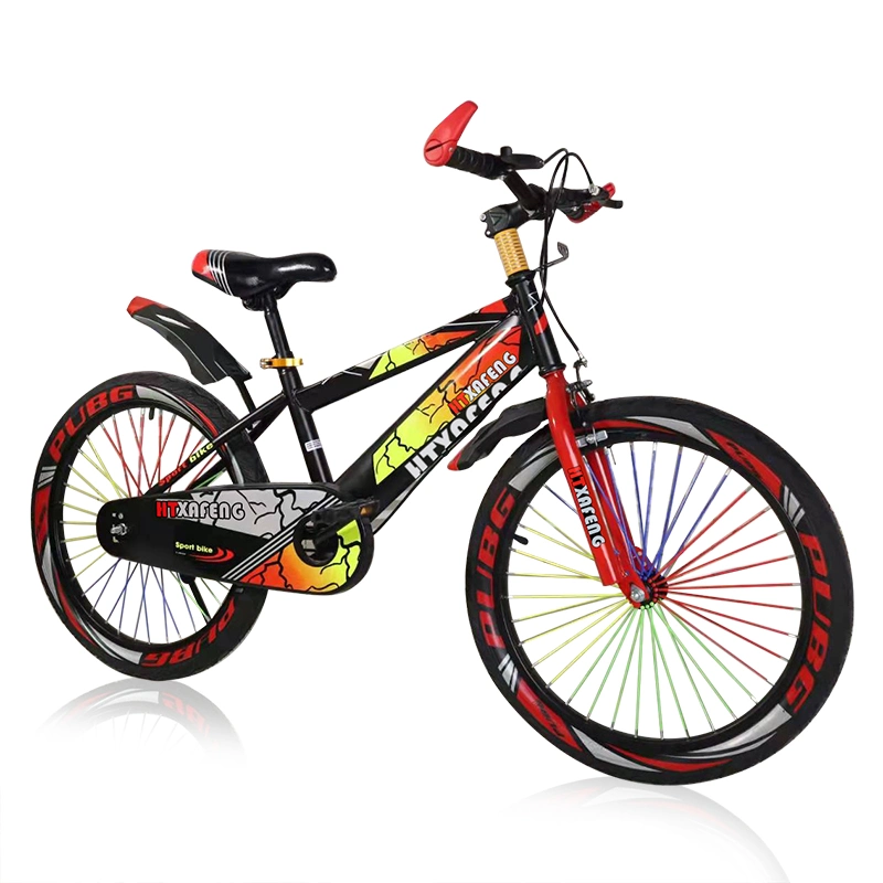 20 Inch Freestyle BMX Bike