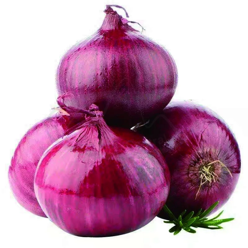 Good Quality Fresh Shiny Red/Yellow/White Onion