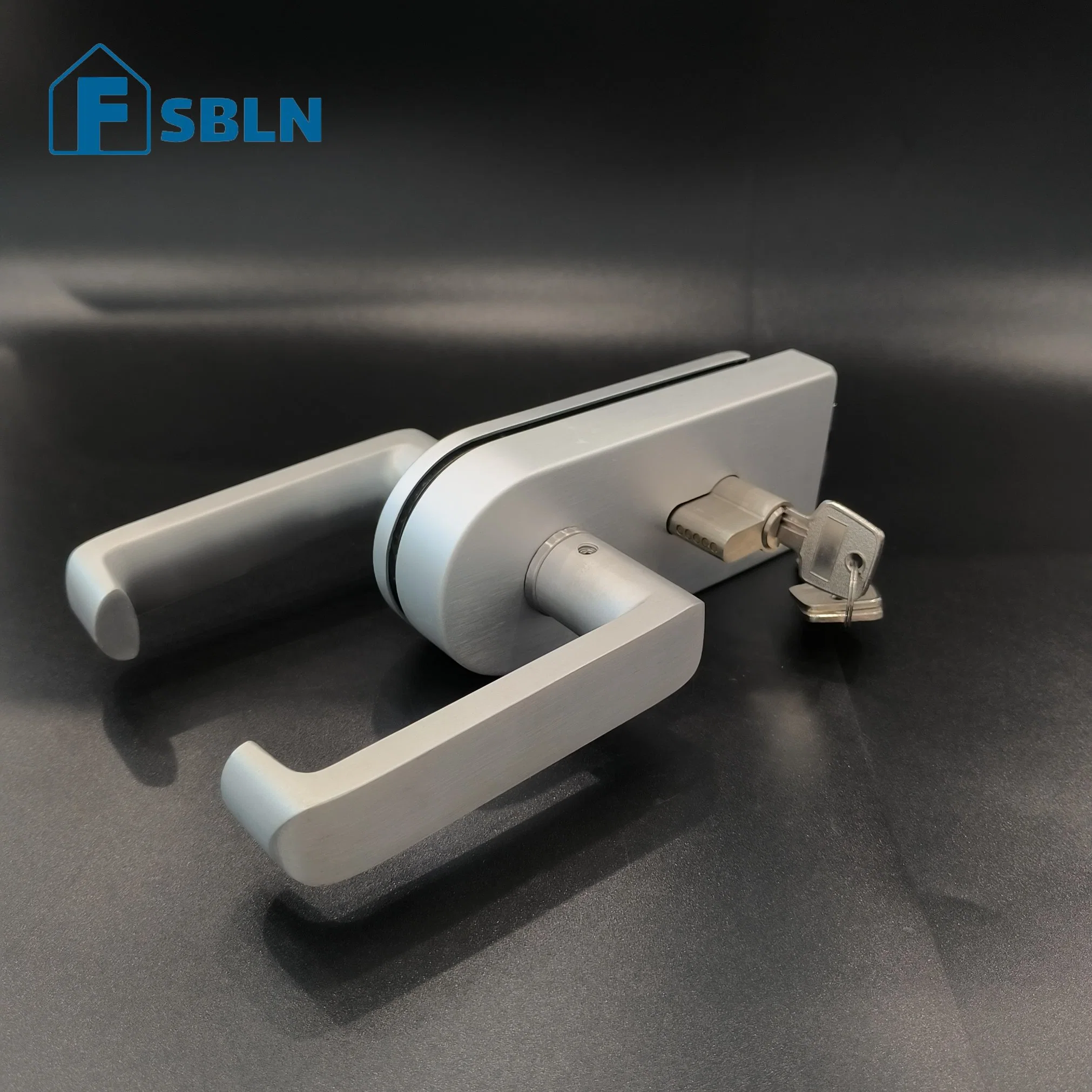 Bln Stainless Steel Glass Door Hardware with Fix Handle