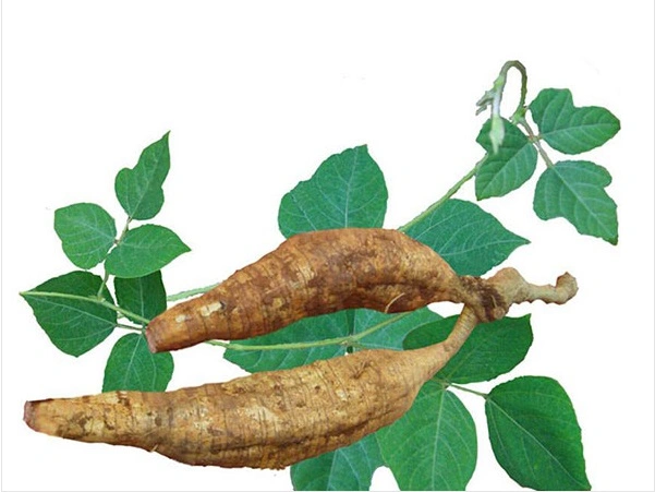 Kudzu Root Extract Pueraria Lobata (Willd.) Ohwi