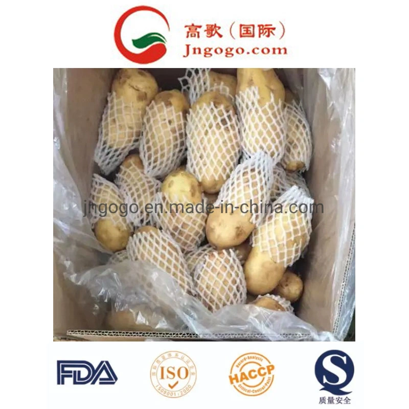 Gogo Holland Potato (50 - 100grams)