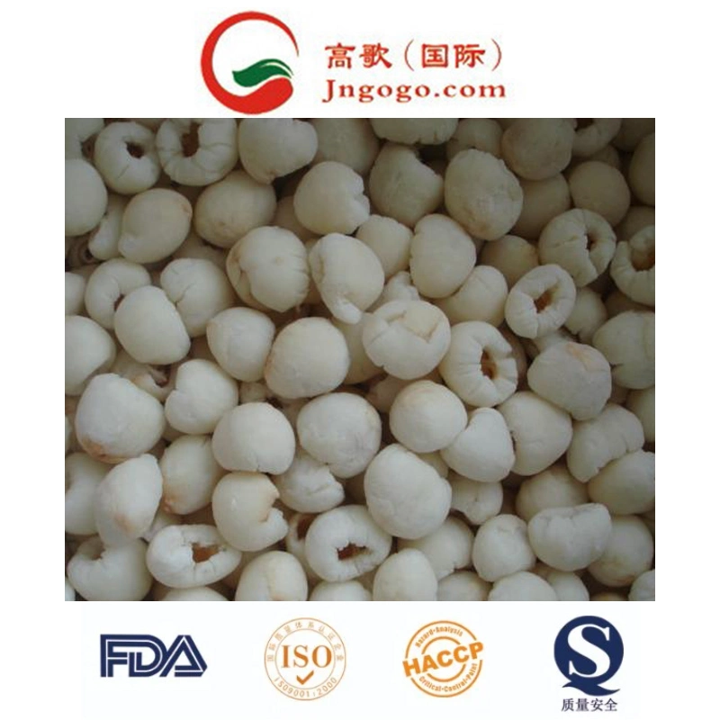 IQF Peeled Lychees, Frozen Peeled Lychees, IQF Lychee Meat, IQF Lychees Flesh, Frozen Lychee Flesh, IQF Peeled Litchi and Frozen Fruits