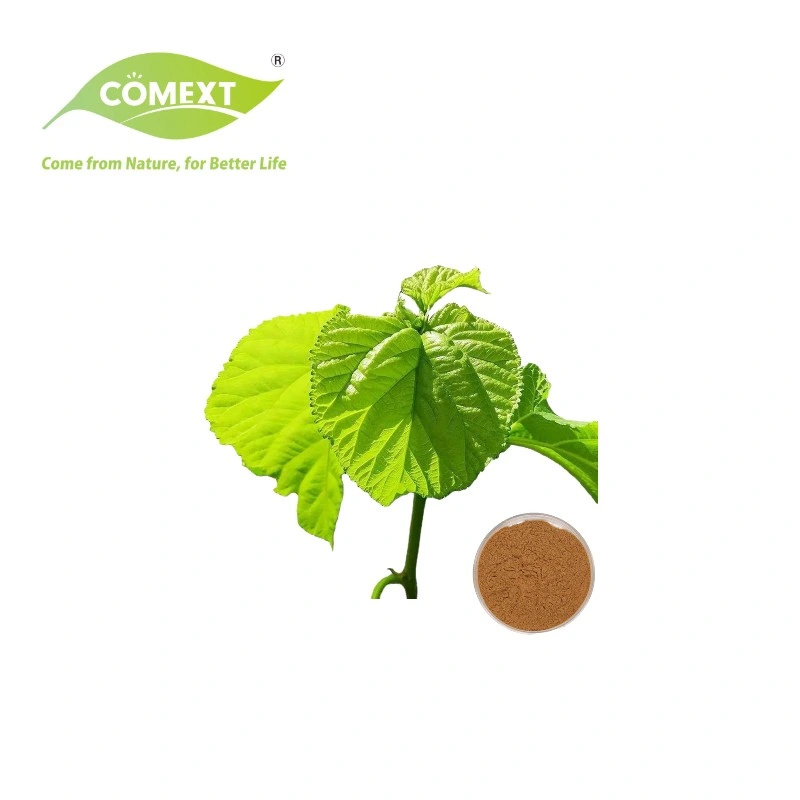 Comext usine Direct prix de 10 % Polysaccharides HPLC pour taux de sucre sanguin Morus alba extrait de feuilles de mûrier blanc