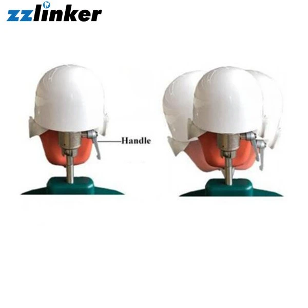 Lk-OS22 Dental Teaching Manikin Phantom Headmould with Body for Students