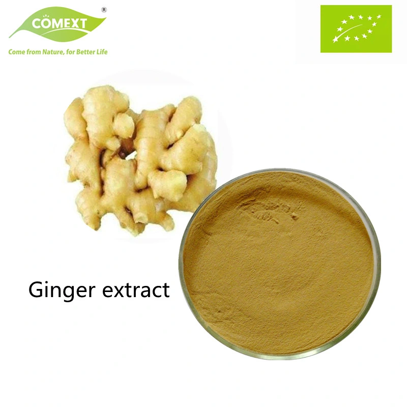 Comext Factory High quality/High cost performance  100% Natural Health Product Ginger Extract Ginger Root Extract