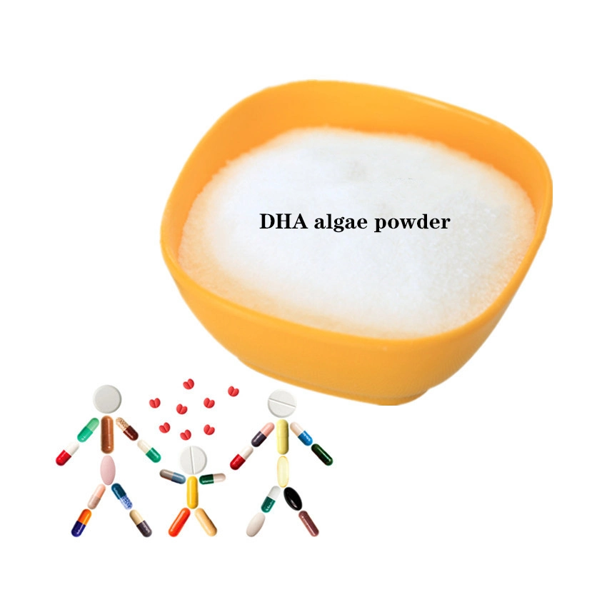 Suplemento dietético Alga aditiva de Alimentos DHA CAS 6217-54-5 ácido docosahexaenoico Polvo