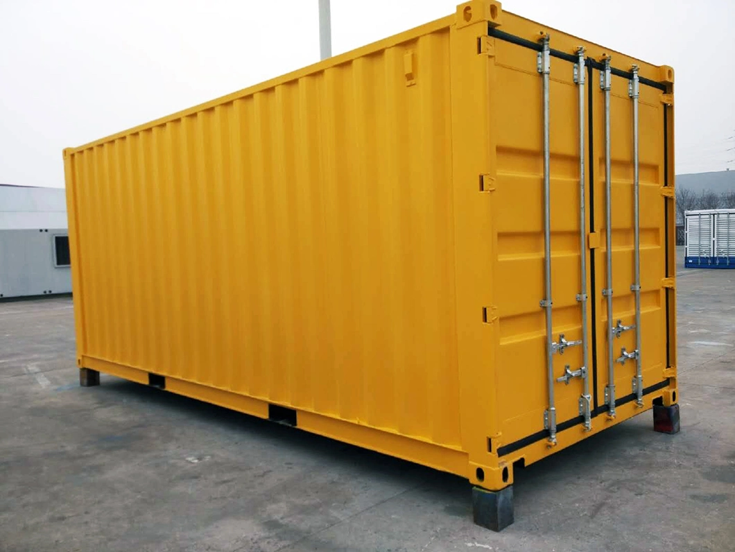 New and Ready to Ship 20 Feet Dry Cargo Shipping Container Csc Certificated