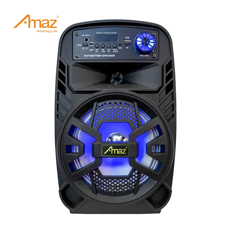 AMAZ Factory Wholesale/Supplier personnalisé 8 pouces portable Haut-parleurs Bluetooth Avec lumière RVB