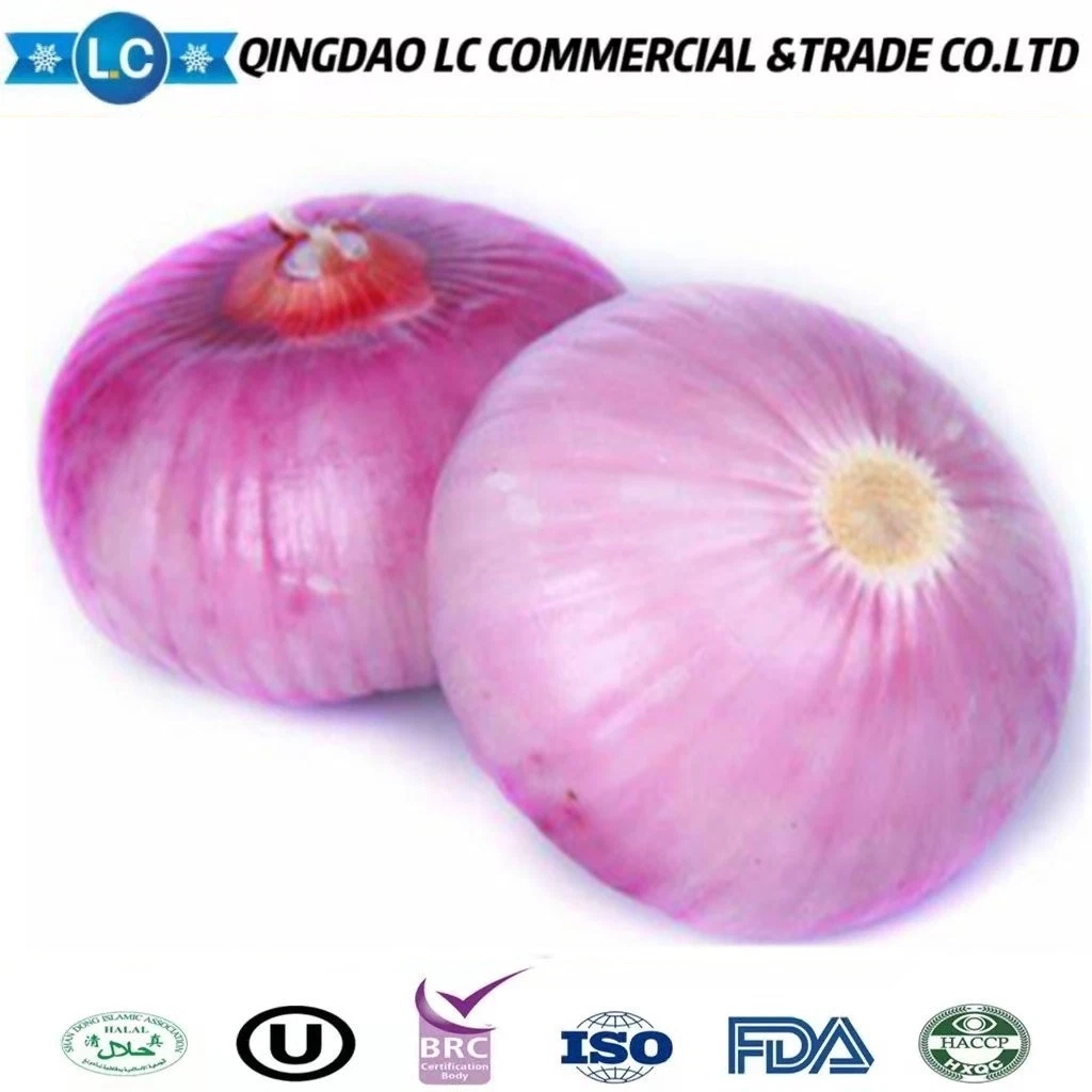 IQF Exporters Wholesale/Supplier White Frozen Diced Onion of Import Price Ton