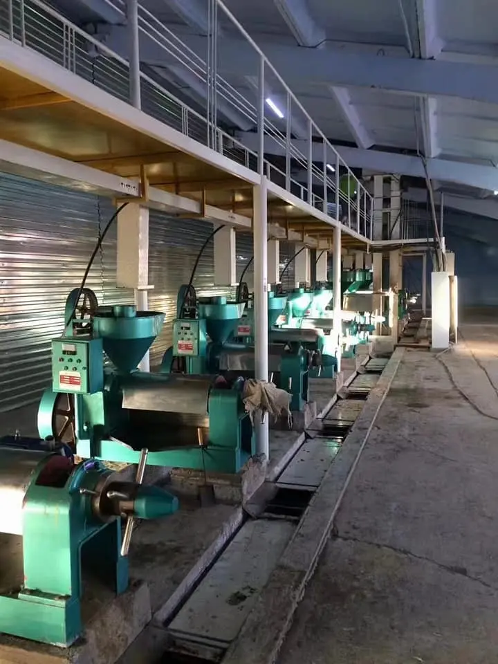 Oil Seed Pretreatment Equipment for Press Plant