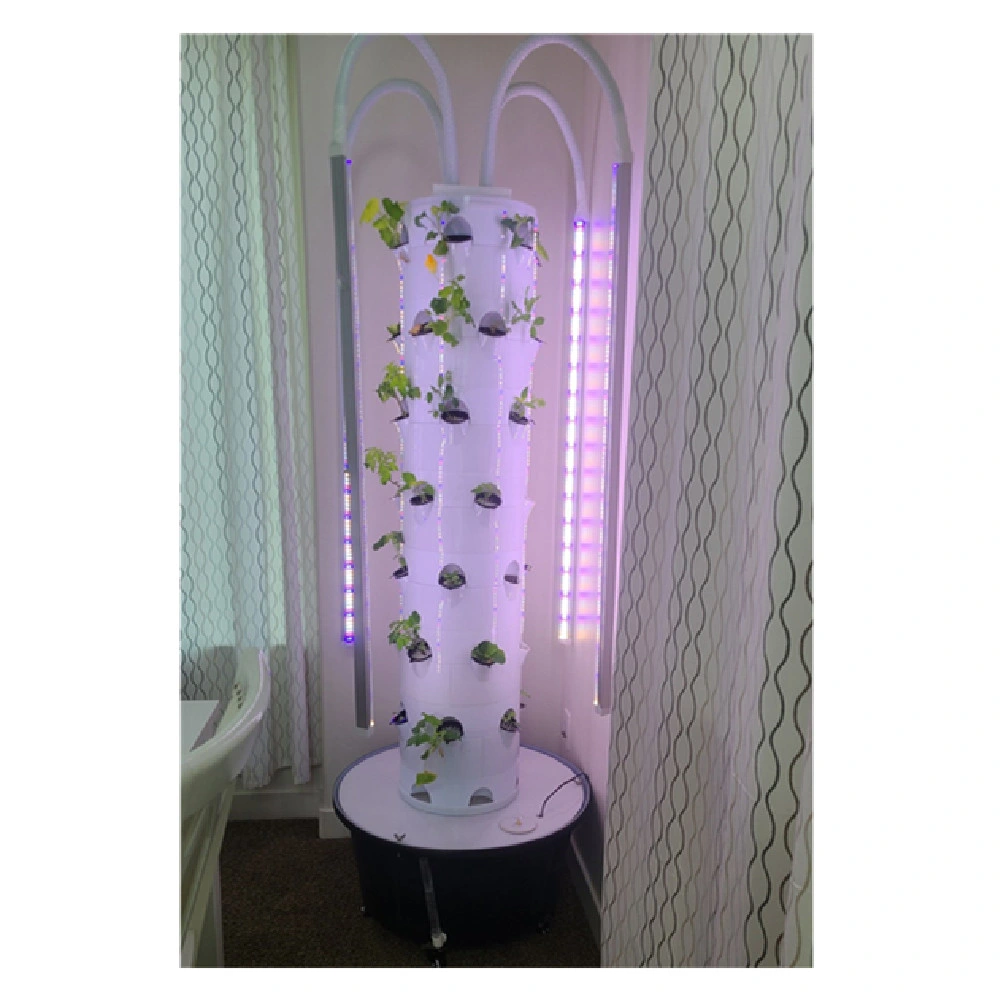 Indoor Farming vertical Garden hydroponic 60 plantas