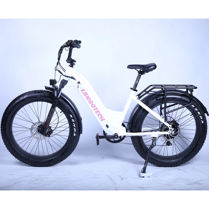 2021 New Design Step Through Fat Tire Electric Bike 5% Discount