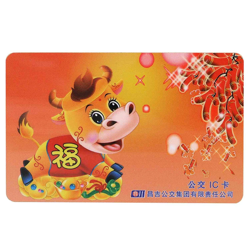 Custom Printed FM1232 Smart Card Dual Interface CPU Card