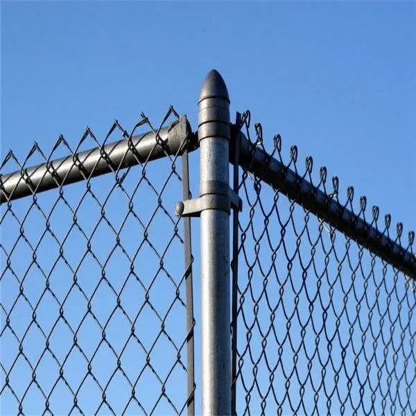 Black PVC Coated and Galvanized Vegetable Garden Chain Link Fence/Wrought Iron Fence