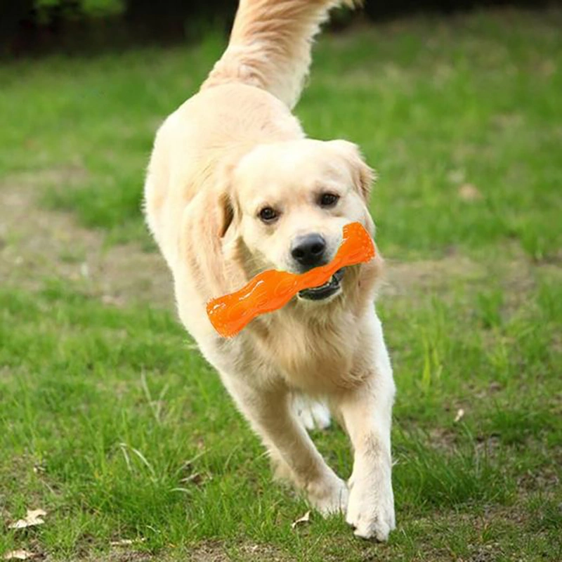 Juguete de Tenis para Mascotas Bola Resistente a Mordeduras Juguetes para Perros Set de 10 Piezas Otros Productos para Mascotas Juguete para Masticar