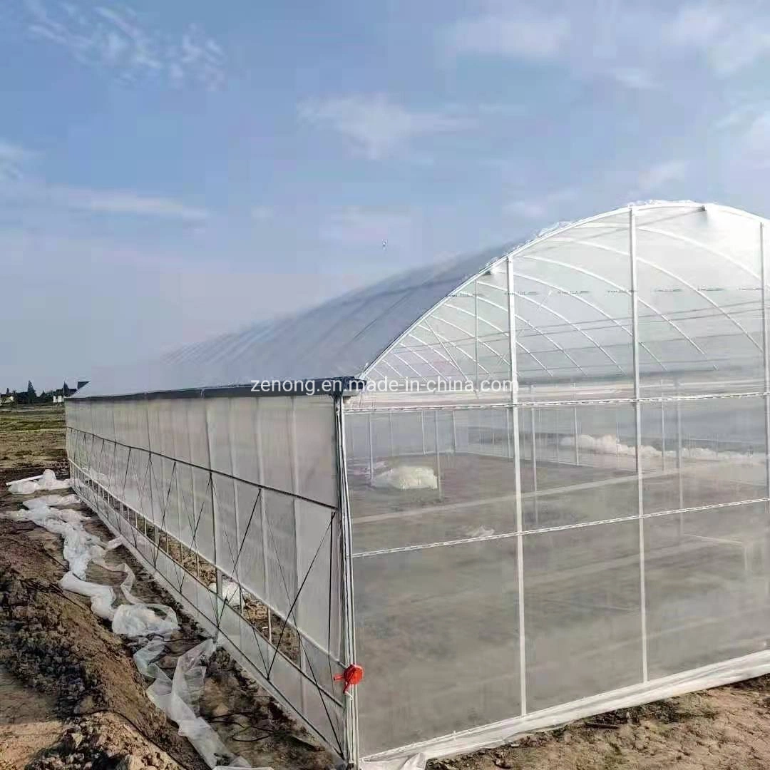 China Multi-Span Tunnel/Arch Type PE/Po Film Plastic Agricultural/ Commercial Eco Greenhouses Cucumber Strawberry Hydroponics Growing System