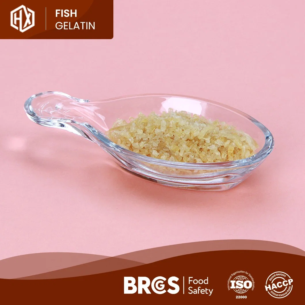 Haoxiang OEM Customized Cod Fisch Haut Gelatin China Halal Cod Fischhaut Gelatin Herstellung Lebensmittelqualität 105% Pudermood Cod Fisch Hautgelatin