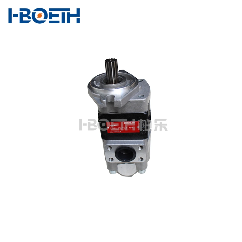 Mitsubishi. Nissan Sgp1a34r813t Sgp1a34D2h9-R479, Sgp1a34D2h9-R813t Hydraulic Pump Forklift Gear Pump