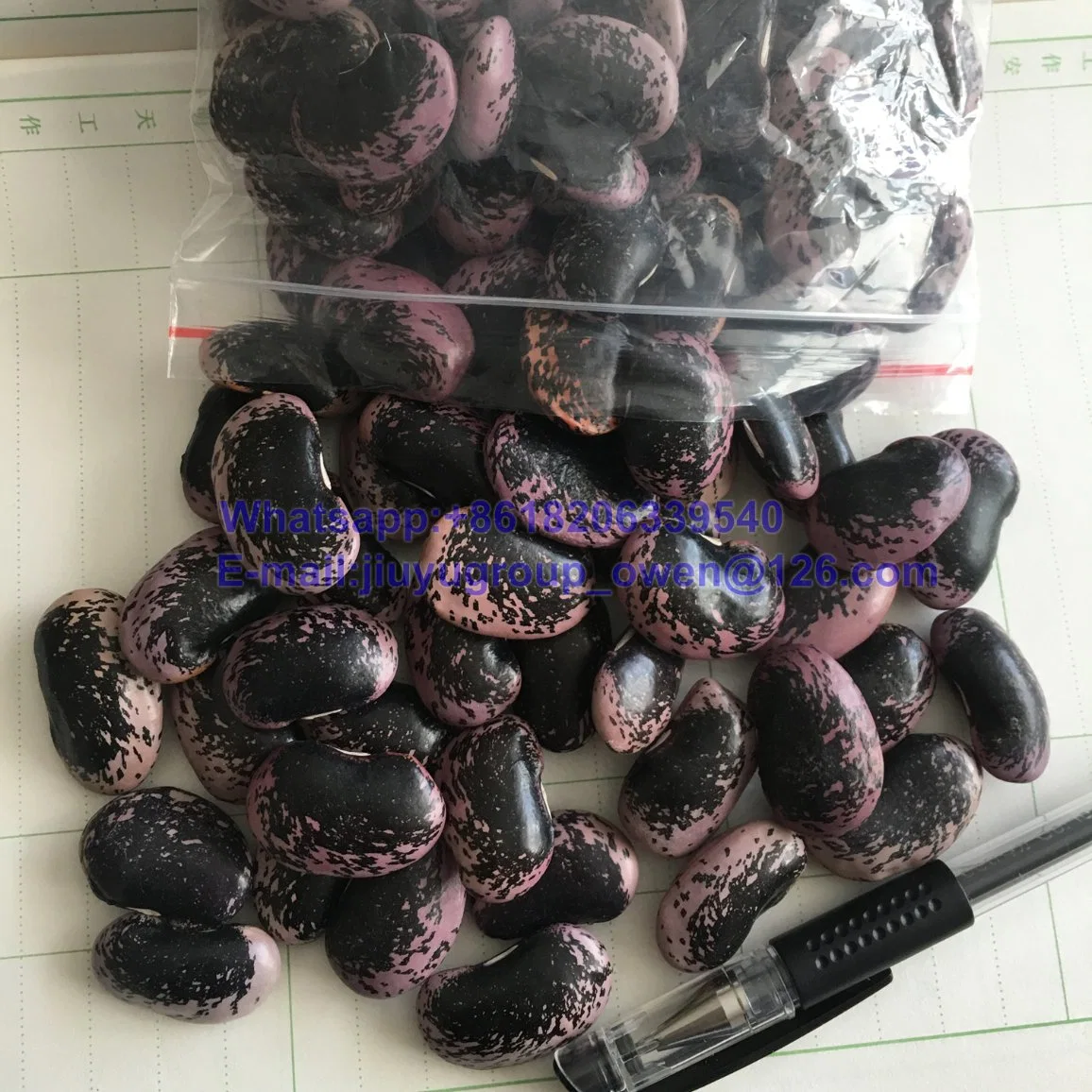 Export Grade New Crop Large Light Speckled Kidney Bean