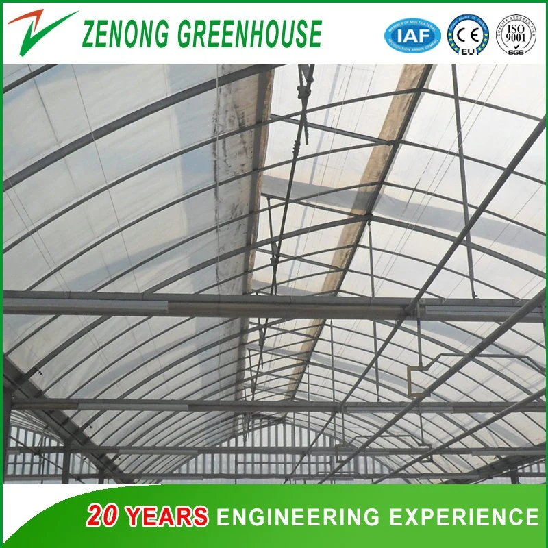 Factory Direct Supply Film Covered Greenhouse with Shading Net Widely Used for Modern Agriculture Planting