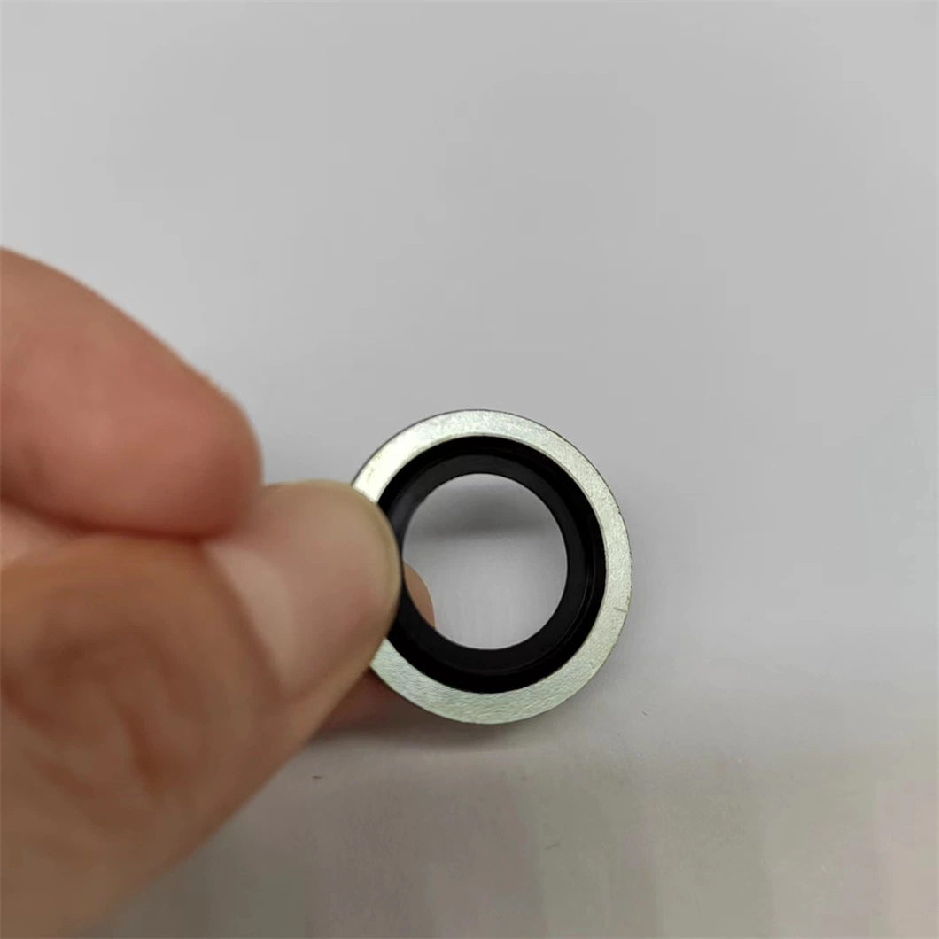 Viele Größen/Kundenspezifische Größen Verfügbar/Kundenspezifische Verpackung Usit Bongded Washer Seal