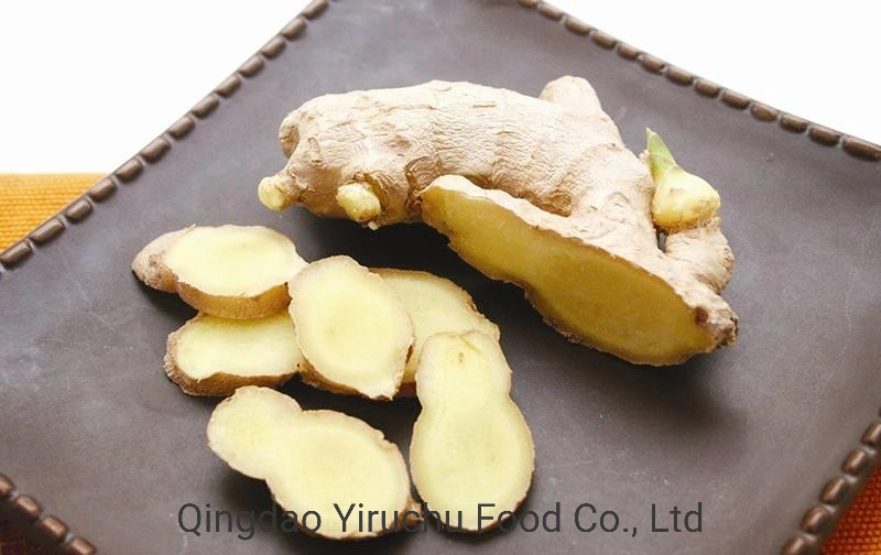 High quality/High cost performance  Fresh Ginger Market Price Per Ton of Wholesale/Supplier China Shandong Exports